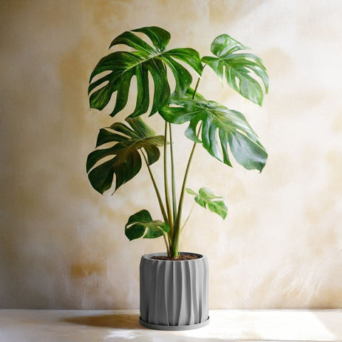 Concrete Grey Kurtain