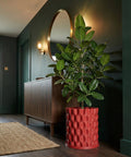 A red planter pot with a textured, rounded design holds a green plant in a stylish entryway with dark wood floors and green walls.
