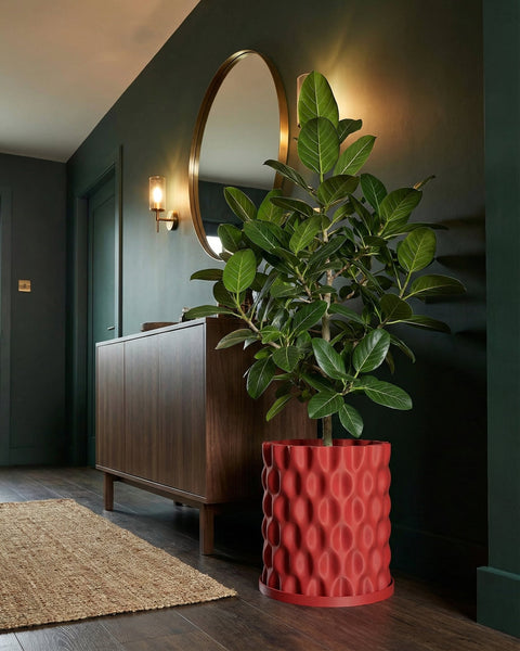 A red planter pot with a textured, rounded design holds a green plant in a stylish entryway with dark wood floors and green walls.