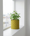 A vibrant plant in a textured, yellow planter pot sits atop a dark wooden table, adding a pop of color to the blue-toned room.