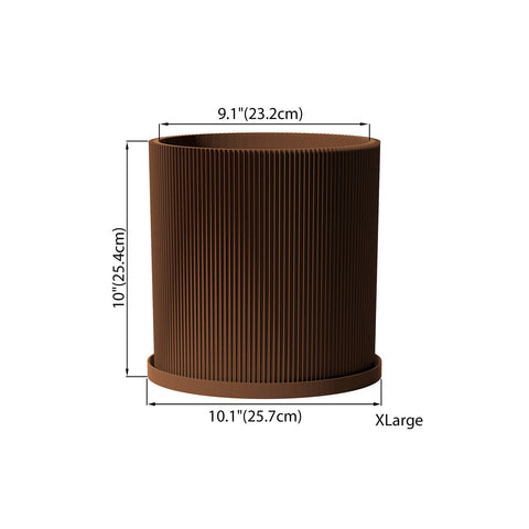 Nut Brown Ray
