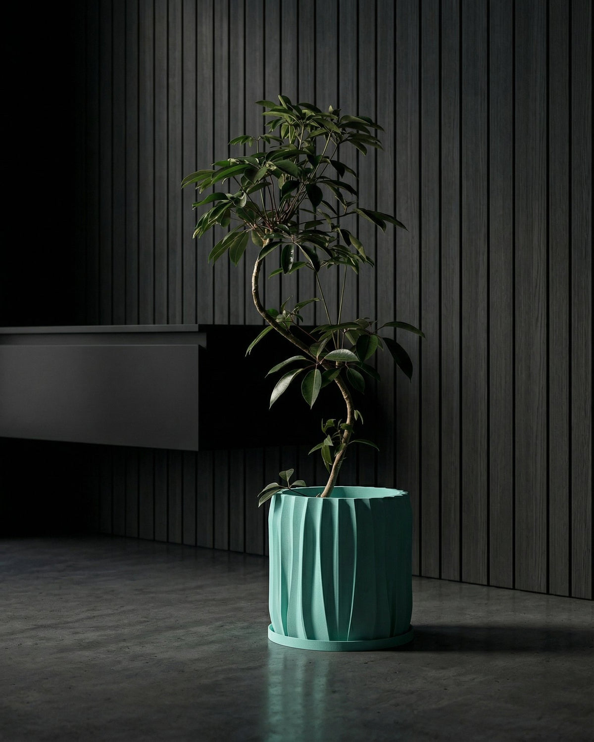 A light blue planter pot sits on a wooden table next to a gray sofa with a throw blanket in a room with dark green walls.