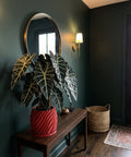 A red planter pot with a large green plant sits on a wooden table in a room with dark green walls. A round mirror and a wall sconce are on the wall.