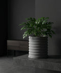 A modern gray planter pot with a ribbed design, holding a lush green monstera plant, sits on a concrete surface against a dark gray wall.