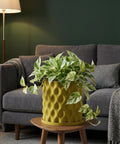 A vibrant pothos plant in a textured, olive-green planter pot sits on a wooden side table, adding a touch of nature to a modern living space.