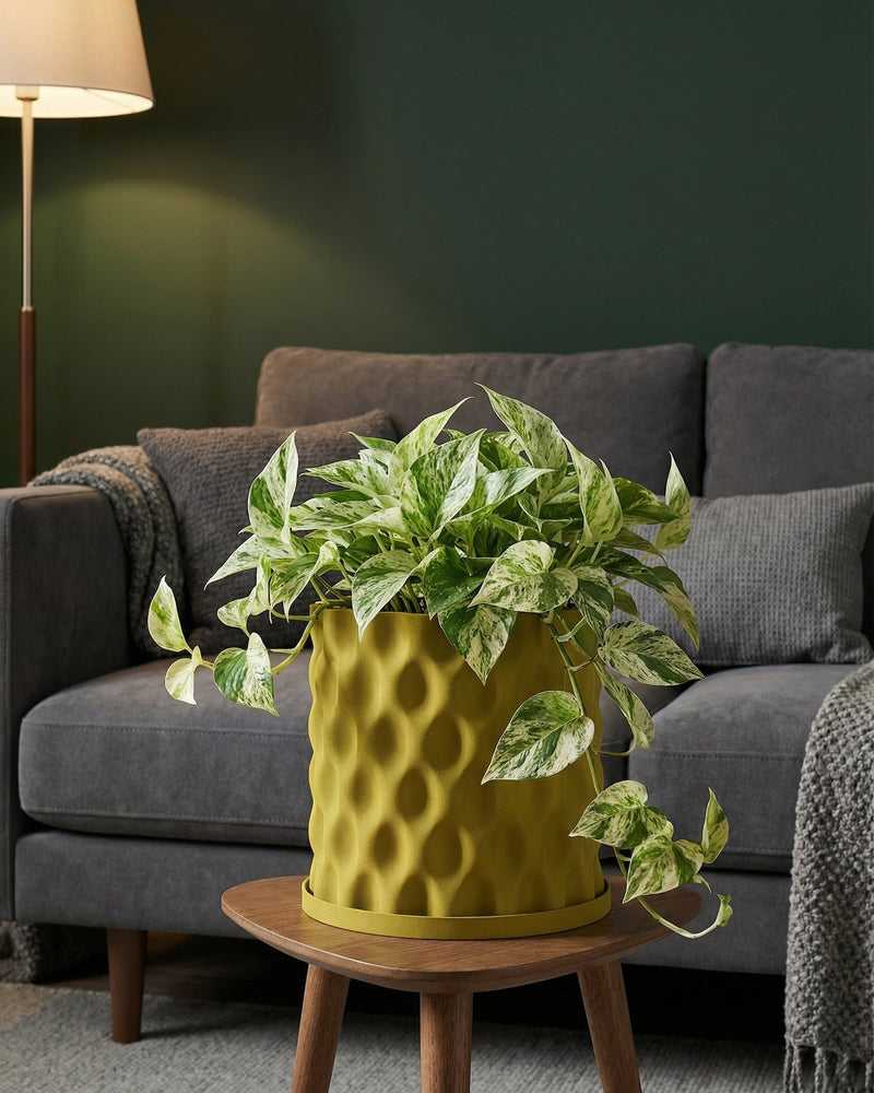 A vibrant pothos plant in a textured, olive-green planter pot sits on a wooden side table, adding a touch of nature to a modern living space.