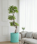 A tall, green tree in a turquoise planter pot sits next to a couch with a pillow and blanket. A small table with flowers is nearby.