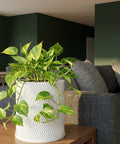 A vibrant golden pothos plant cascades from a white, wavy-textured planter pot, adding a touch of nature to a modern living space.