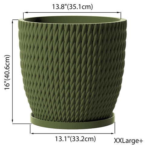 Avocado Green Vine