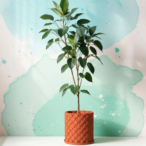 Terracotta Orange Chisel